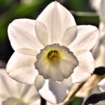 Can therapists give clients gifts and still stay ethical?